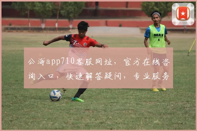 公海app710客服网址，官方在线咨询入口，快速解答疑问，专业服务体验，请查收